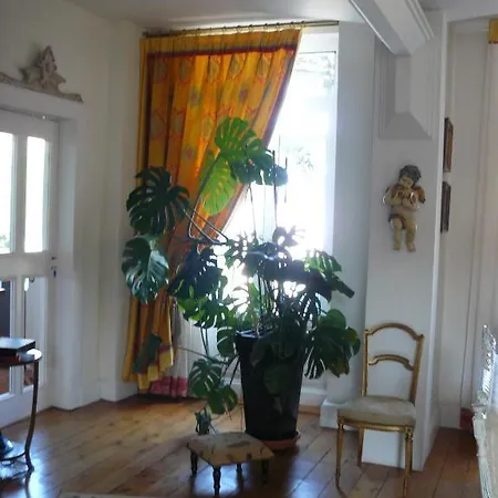 D'hotes L'albinque فندق مبيت وإفطار كاسْتْرْ